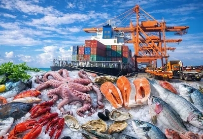Vietnam's Top Seafood Import Markets in 2026