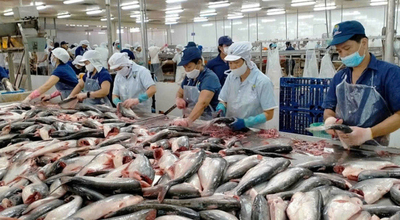 Vietnam Seafood Exports: Growth via Market Diversification