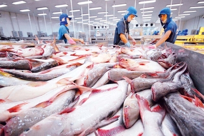 Vietnam Seafood Exports Hit $9.1B | Sustainability Focus