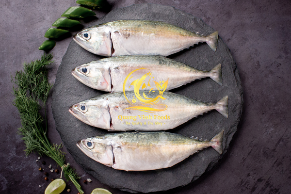 Indian Mackerel