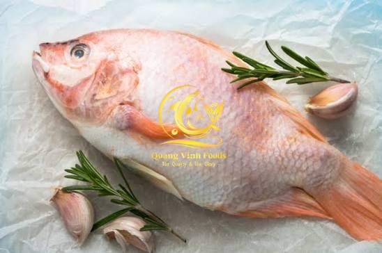 Red Tilapia