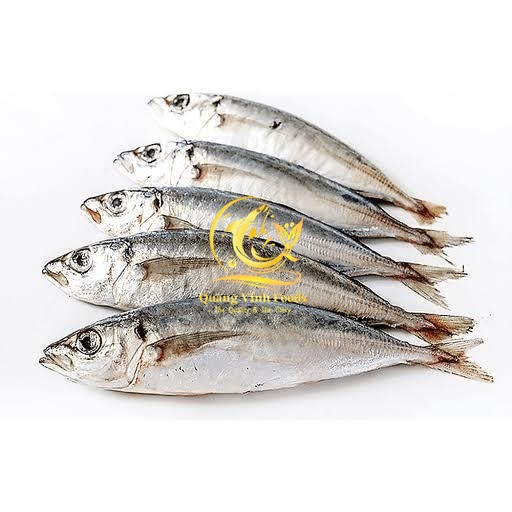 Round Scad