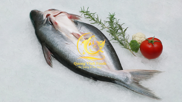 Pangasius Butterfly